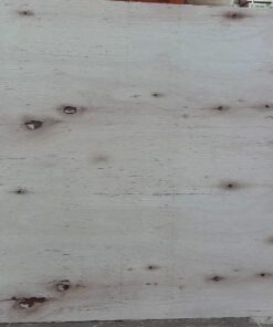 Fenólico 18 mm x 1,22 x 2,44 mts Grandis Calidad IV/IV (5 PLY) SIN MASILLAR